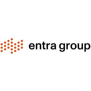 Optymalizacja produkcji - Efektywna organizacja produkcji - Entra Group